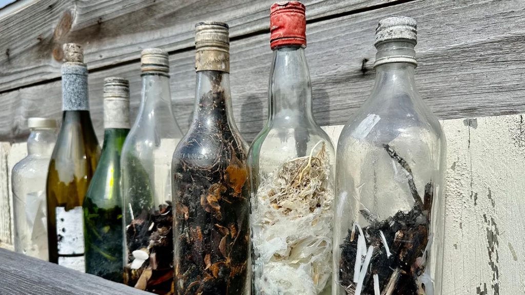 Botellas de bruja modernas, encontradas en el Golfo de México.