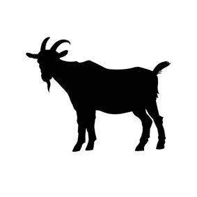 Cabra negra